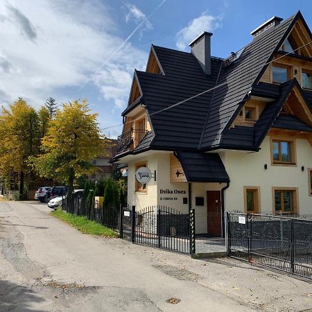 Dzika Owca Daire Zakopane Dış mekan fotoğraf